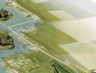Er is in 2016 een samenwerking met Rijkswaterstaat (beheerplan N2000) en It Fryske Gea afgesproken om een volgende