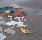 Aantoonbaar meer grip op slibhuishouding Waddenzee, inclusief slib