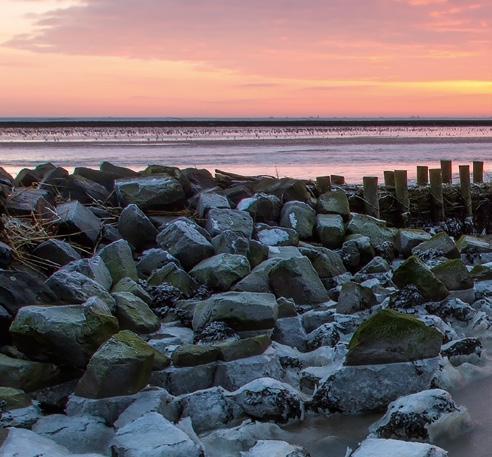 Inleiding Het jaarverslag geeft een goed beeld van waar het Programma naar een Rijke Waddenzee (PRW) allemaal aan werkt in het Waddengebied.