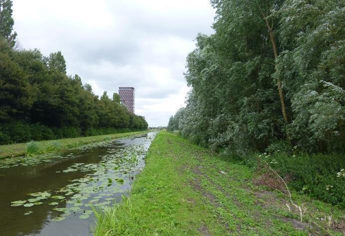 door een watergang. In de huidige situatie bevindt zich binnen het plangebied veel riet en ruigte.