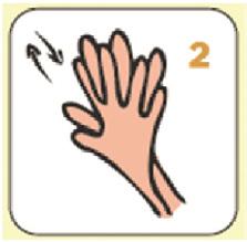Neem voldoende handontsmettingsmiddel (tweemaal pompen). Wrijf uw handen in gedurende 30 seconden volgens de stappen zoals afgebeeld.