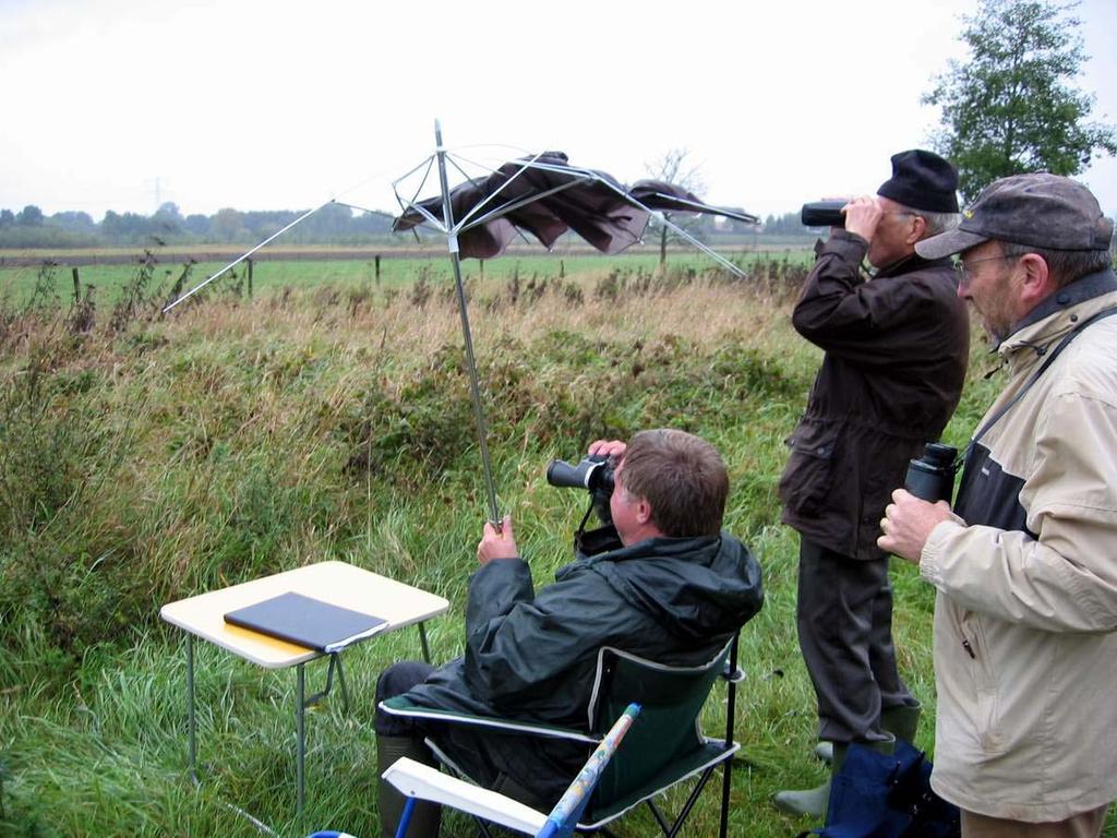 6 De trek In dit hoofdstuk zal het ornithologische deel van de Euro Birdwatch 2005 worden besproken, aan de hand van de getelde aantallen.