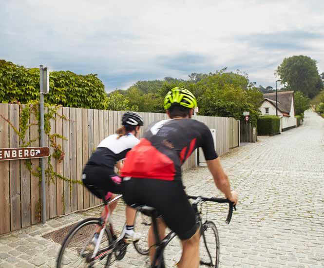 Als het goed aanvoelt, ga je dan écht profileren als een fietsvriendelijk logies. Succes! 1. DIENSTVERLENING EN INFRASTRUCTUUR Wie is de wielertoerist?