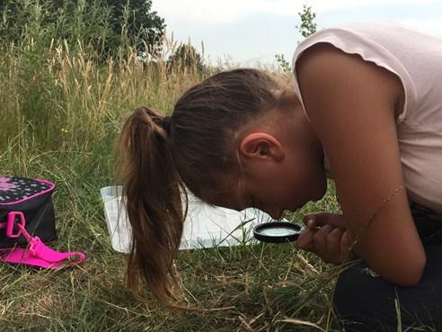 in groepjes verdeelt er waren 3 groepjes En hebben verschillende dingen gedaan zoals: We moesten visjes vangen en ook moesten we door meter lange planten lopen En naar de poel zoeken doen we der aan