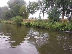 3 RESULTATEN BOVEN-SCHELDE 3.1 Algemene opmerkingen De bemonstering van de Boven-Schelde is uitgevoerd in de periode van 25 tot en met 28 augustus 2015. In totaal zijn zes stortkuiltrekken uitgevoerd.