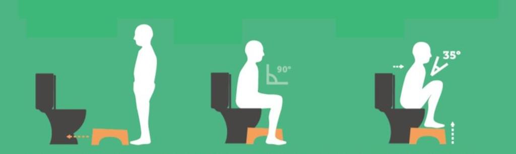 Hoe u de toiletkruk dient te gebruiken Met de toiletkruk bereikt u de ideale gehurkte houding van een hoek van 35. 1.