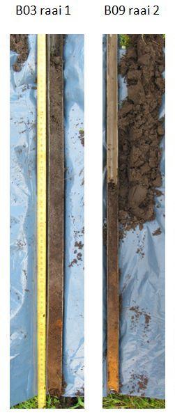 Onderstaande foto s van twee boorprofielen geven twee karakteristieke boringen van raai 1 en 2 weer (raai 3 ontbreekt i.v.m. onduidelijkheid van het fotografisch materiaal).