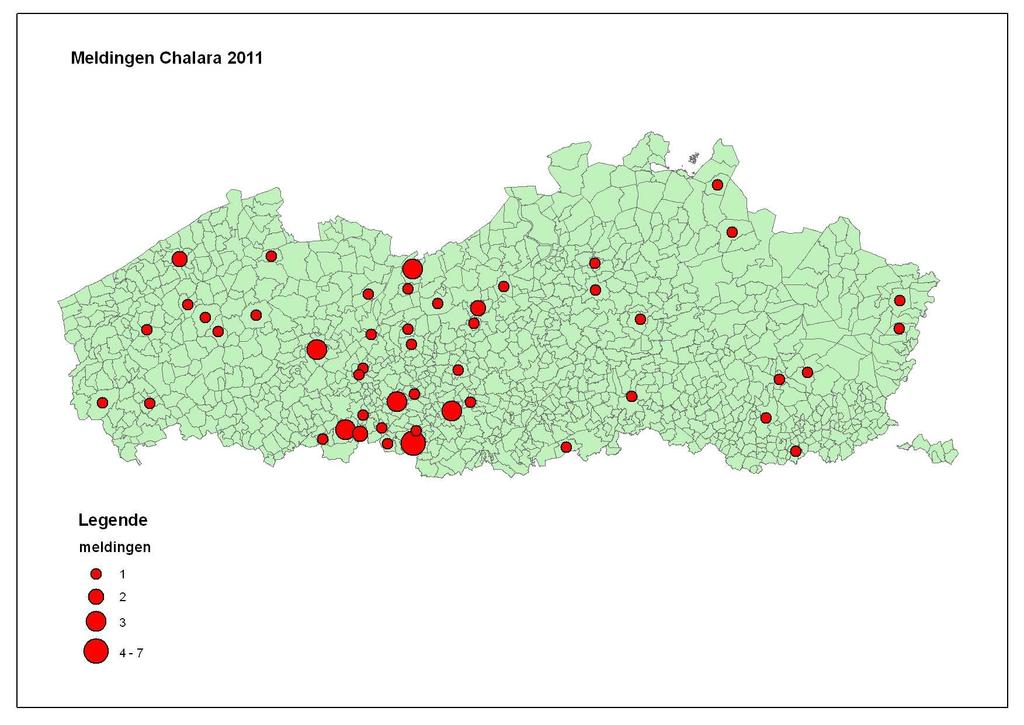 Fig. 1: Meldingen van Chalara fraxinea in het Vlaamse Gewest in 2011 (aantal per gemeente). provincie aantal meldingen/prov.