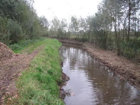 2 Goorloop tot aan Wilhelminakanaal NL38_3S 2.1 Beschrijving waterlichaam Figuur 2.