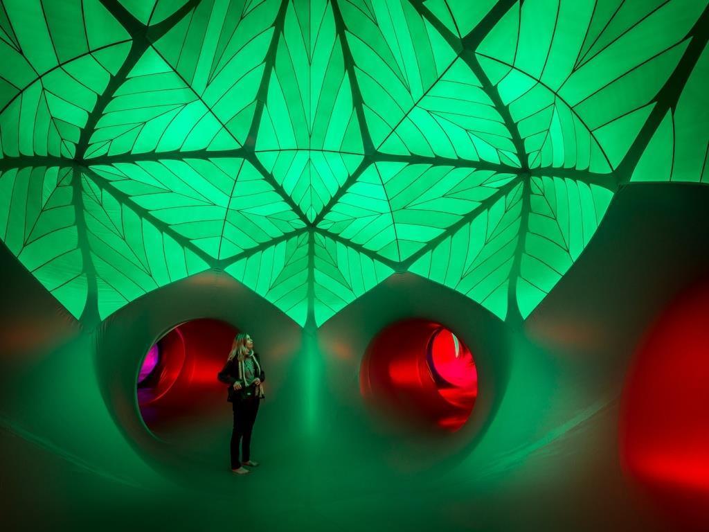 Architects of Air Arboria Luminarium beeldende kunst ~Verenigd Koninkrijk Elk Luminarium is een schitterend doolhof van kronkelende paden en stijgende koepels.