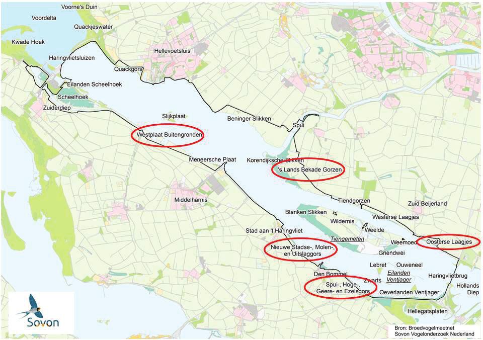 Plan van aanpak monitoring broedsucces, overleving en verklarende factoren vogels Haringvliet 3. Monitoring broedsucces weidevogels 3.1.