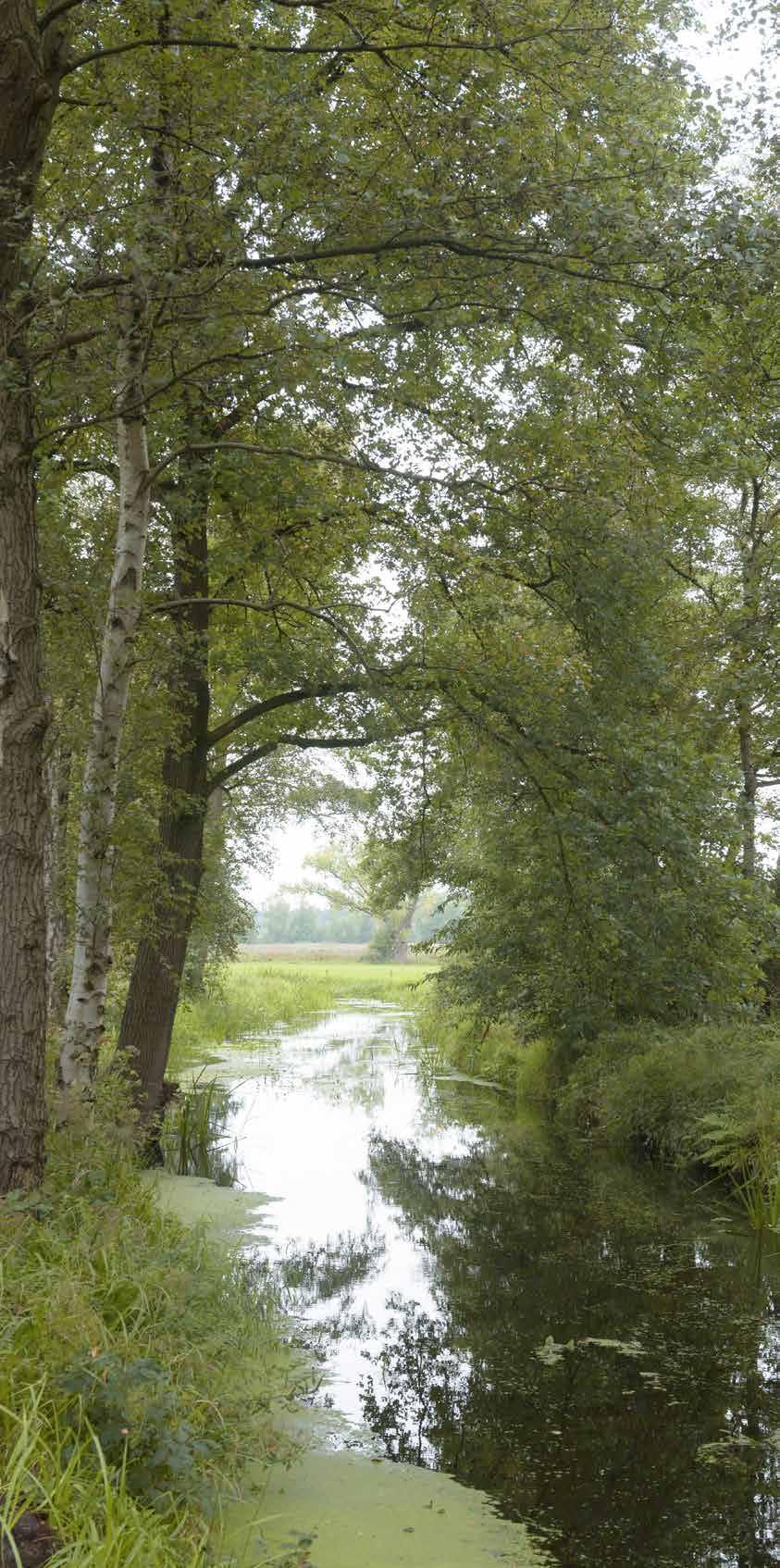 Praktische informatie Rondwandeling Rondwandeling ten zuiden van Bergeijk in het grensgebied met België. De route voert door een natuurgebied met voormalige visvijvers en door oude vloeiweidegebieden.