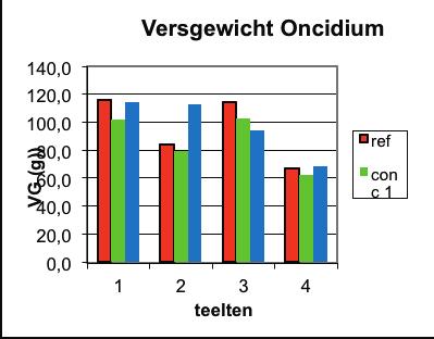 Voor Oncidium is halfwas plantmateriaal gebruikt, waarbij een derde bulb aan het afrijpen was en dan kon gaan bloeien.