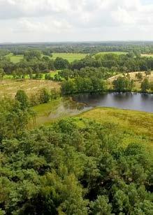 Bels Broek en Heide Rode wandeling: 9,1 km Blauwe wandeling: 14,5 km Start Bezoekerscentrum Grote Netewoud, Watermolen 8, Meerhout. Toegankelijkheid Stapschoenen aangewezen.