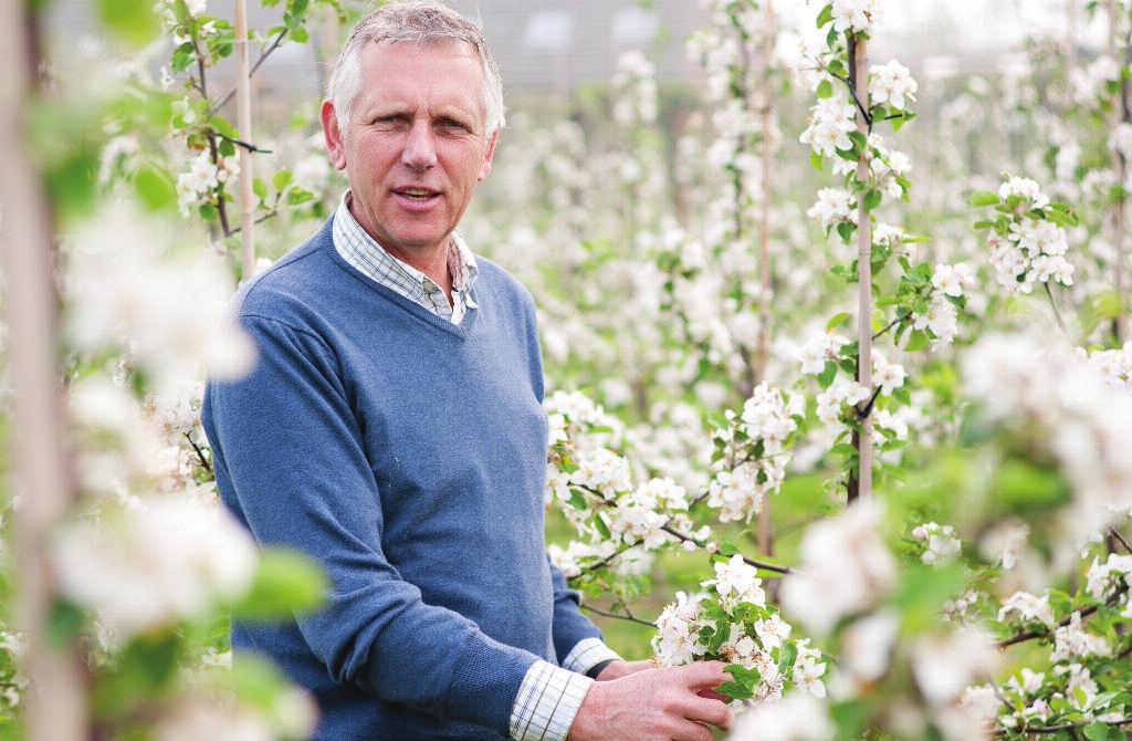 14/15 FRANS VAN BRANDENBURG» FRUITPACT» FRUITTEELT/AKKERBOUWBEDRIJF, HETEREN De Betuwse Bloem is met haar programma in staat om collectieve thema s beter te realiseren.