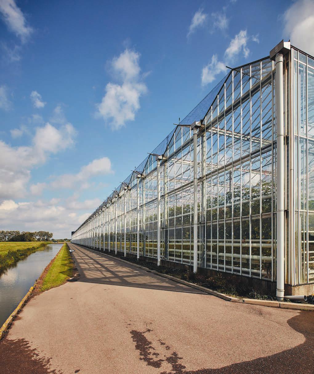 2 Dutch Agri Food Week Programma 9-19 oktober Maak kennis met de Nederlandse agrifoodsector Overzicht locaties, regio s en provincies Het uitgebreide programma overzicht vindt u in het hart van deze