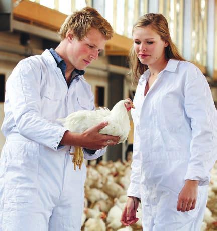 9 Dutch Agri Food Week Programma 9-19 oktober Groene Onderwijstour Langs de AgriFood hogescholen van Nederland De toenemende vraag naar voedsel, internationalisering in de sector en innovatie: thema
