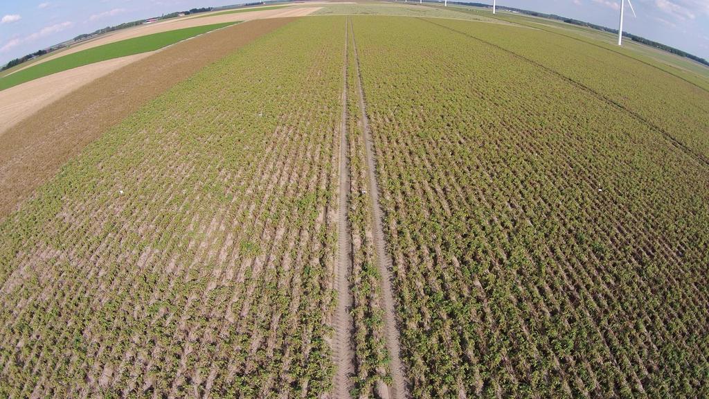 Praktijknetwerk Sparen met Precisie Demoveld Dronten, UAV foto 25-8 250 N 48 t 200 N 44