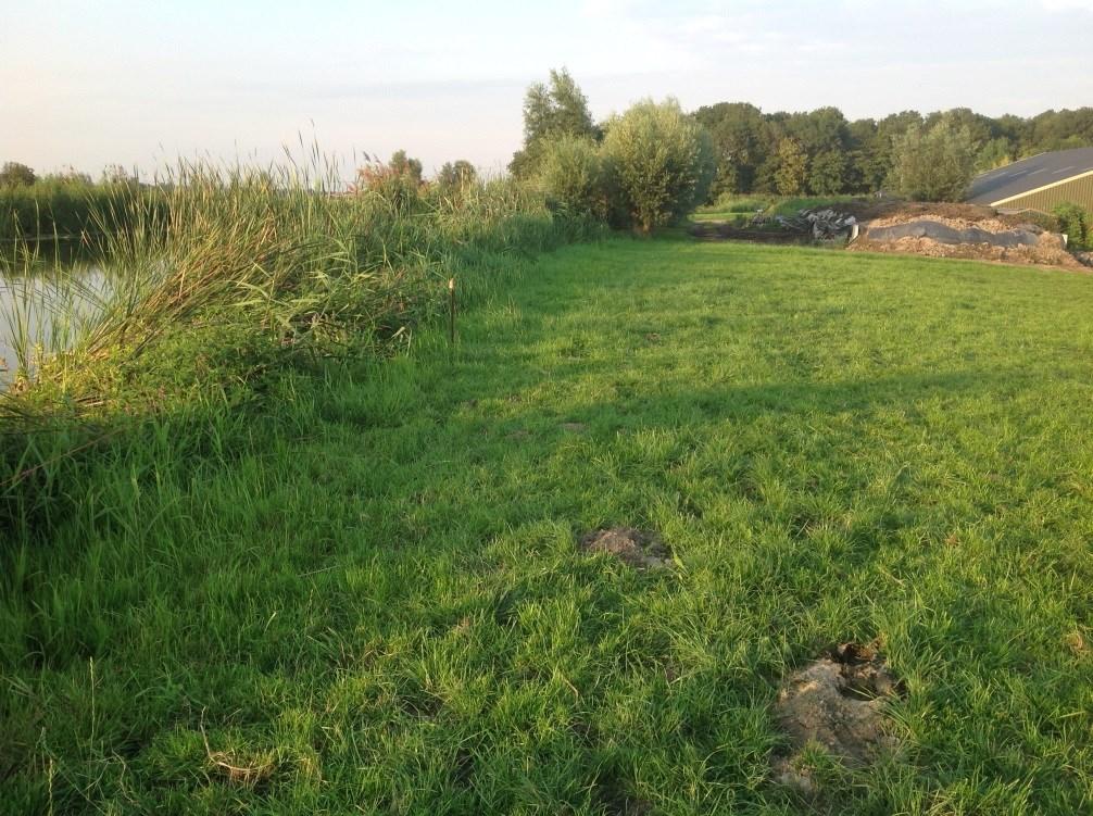 5.2 Ontwijkend beweiden (op basis van uitrasteren ) en verhogen weerstand Weides met, of omringd door, waterlichamen (zoals sloten, poelen of greppels) die zelden droog komen te staan zijn de habitat