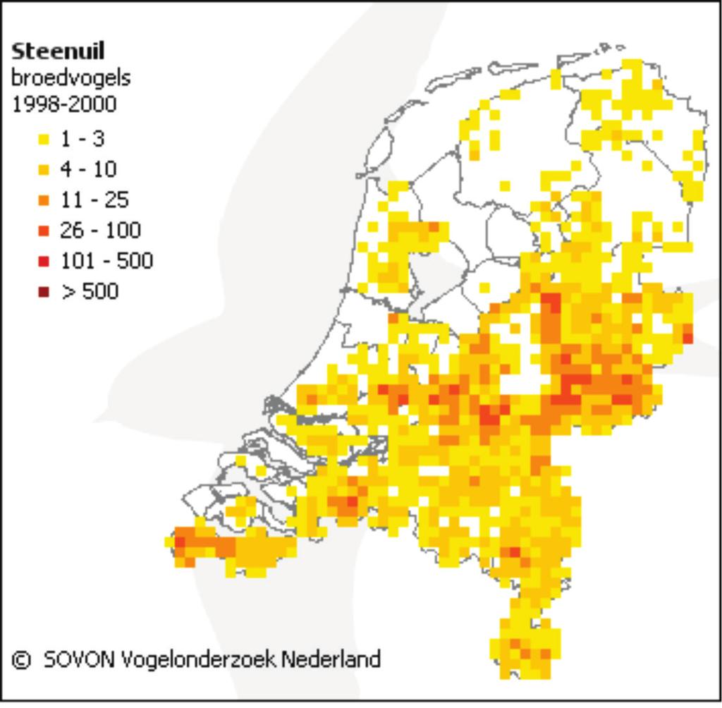 Figuur 9: relatieve broedvogeldichtheid van de steenuil per atlasblok van 5 bij 5 kilometer in de periode van 1998 tot 2000 (bron: Atlas van de Nederlandse broedvogels, 2002.