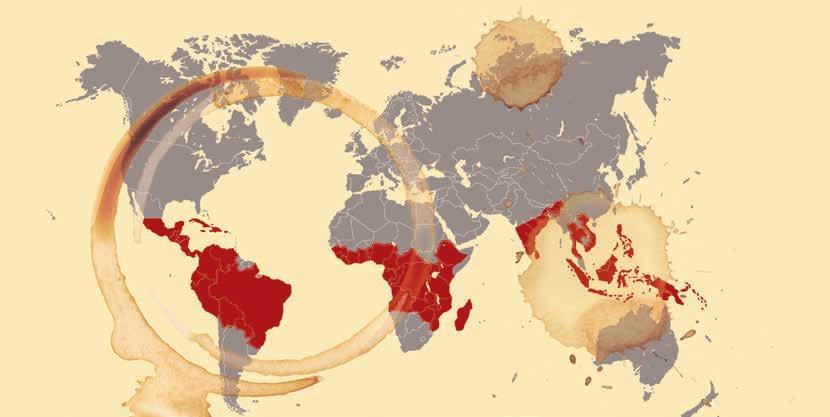 EEN UITSTAPJE NAAR DE BRON VAN DE KOFFIE De oorsprong van de koffieplant ligt in Afrika. De bekendste is de in het wild groeiende Arabica.