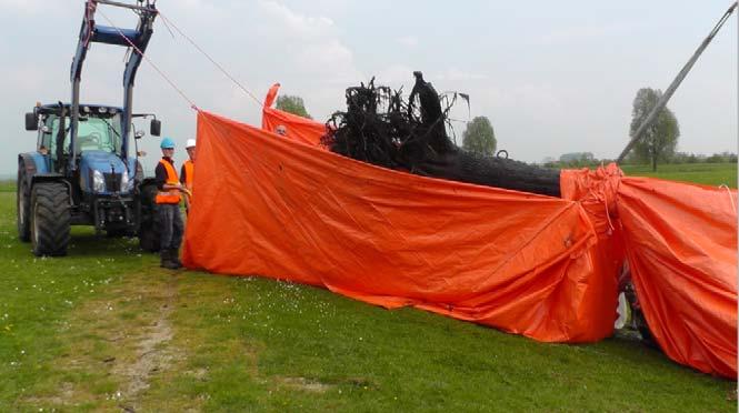 KRW-proef: bomen in de Nederrijn-Lek Tabel.