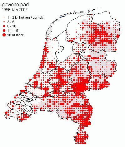 gewone pad De gewone pad doet zijn naam eer aan en is in vrijwel geheel Nederland een algemene verschijning, met uitzondering van enkele Waddeneilanden.