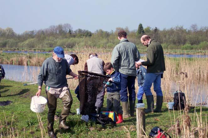 KNNV Moeraswerkgroep, Verslag steekproefonderzoek visstand in de Zodden, april 2005 pag 11/11 Het is niet duidelijk of vissen vanuit de Vecht via de Kerkeindse Vaart (langs de Burg.