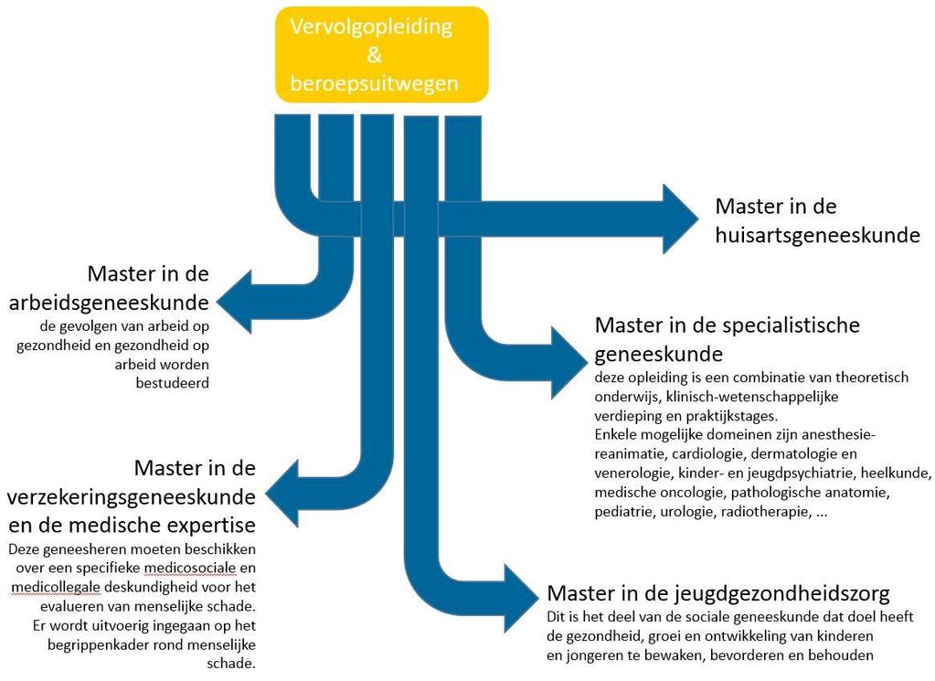 2015 6 jaar + 3 jaar HAIO : Doctor in genees -, heel -, verloskunde.