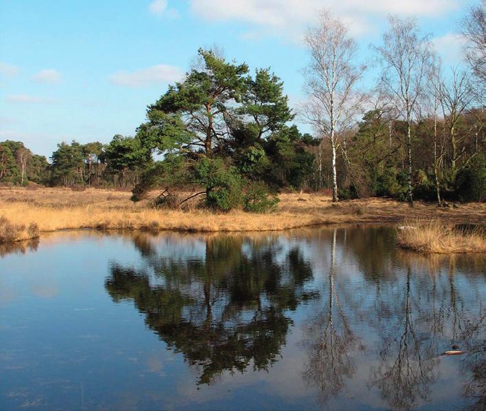 1. Inleiding Samen leven met water, want zonder water geen samenleving. Water is essentieel voor leven. Voor inwoners, ondernemers, maar ook voor flora en fauna die in onze regio zo mooi is.