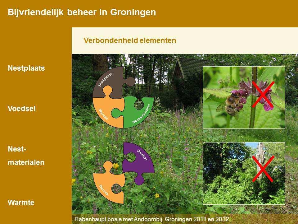 bloemenweides in de alpen of onze eigen ruige heideterreinen, echter in onze eigen tuinen mag vaak nog geen grasspriet scheef staan. Ik geef onderhand ongeveer vijf jaar wilde bijencursussen.