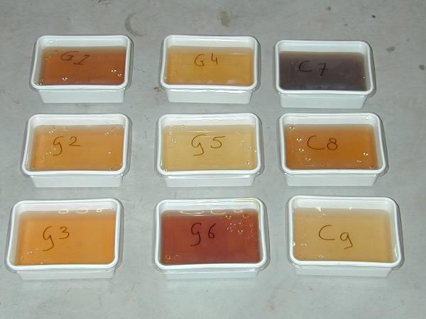 Foto 2: Overzicht van de kleurverschillen van het percolatievocht van de potgrondmonsters, 1 juni 2006 In tabel 5 staat per potgrondsoort de hoeveelheid vochtvasthoudend vermogen weergegeven.