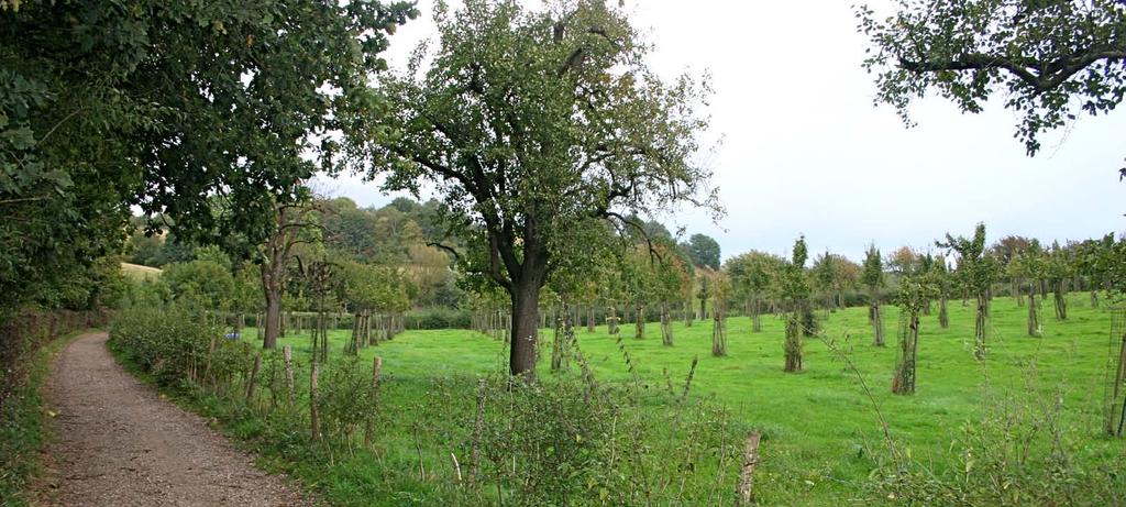 de als EHS te rangschikken gronden in Bemelen zijn beide in gebruik als door hagen