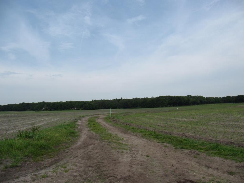 Afbeelding 8 Groot escomplex met zandwegen ten noordoosten van Holten. De laaggelegen gronden waren veelal als gras- en hooiland in gebruik (Afb. 9).