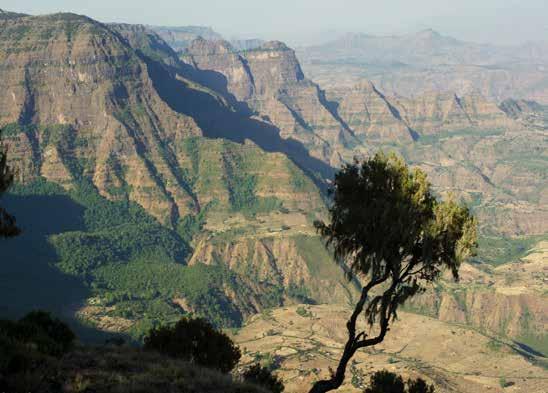 ETHIOPIË Secrets of the North 12-daagse rondreis met privégids DAG 1 ADDIS ABEBA Aankomst te Addis Abeba, onthaal en transfer naar de stad en en citytour in de namiddag.