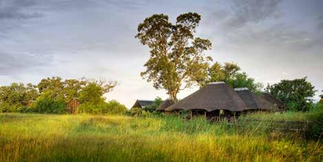 Lokaal bekend als Mosi-oa-Tunya of de rook die dondert, is dit prachtige schouwspel zowel vanuit Zambia als Zimbabwe bereikbaar en vormt het de ideale plek om wildobservatie te combineren met