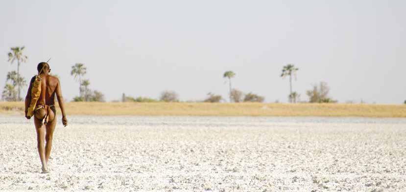 BOTSWANA DAG 6 > 9 OKAVANGO DELTA Na een laatste safaririt en ontbijt, transfer naar de airstrip voor uw binnenlandse vlucht naar de Okavango. De Okavango Delta is een immens wildrijk gebied.