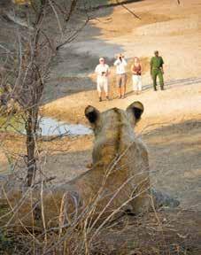 Dit gebied met een oppervlakte van 9050km² is het tweede grootste natuurpark in Zambia.