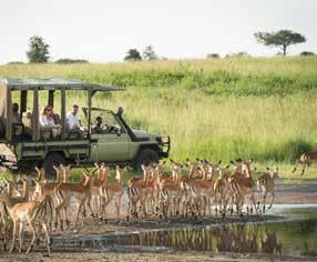 In Afrika is het geven van fooien gebruikelijk: de richtlijn is 8 à 10 usd per persoon per dag voor een chauffeur/gids, 1 usd voor kruiers en in de hotels vindt men gewoonlijk tipboxes bij de