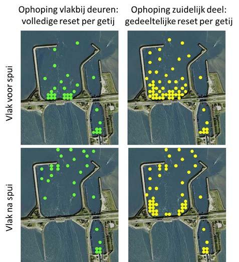 Deze vissen worden afhankelijk van hun zwemcapaciteit en de geboden migratievensters beperkt in hun mogelijkheden om het IJsselmeer in te zwemmen (Winter et al. 2014). 4.