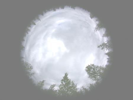 Foto 7: Invloed van bomen op lichtinval in een veen. De foto's boven zijn met een zgn. Fish-eye lens recht naar boven gericht genomen en geven de werkelijke kroonbedekking weer.