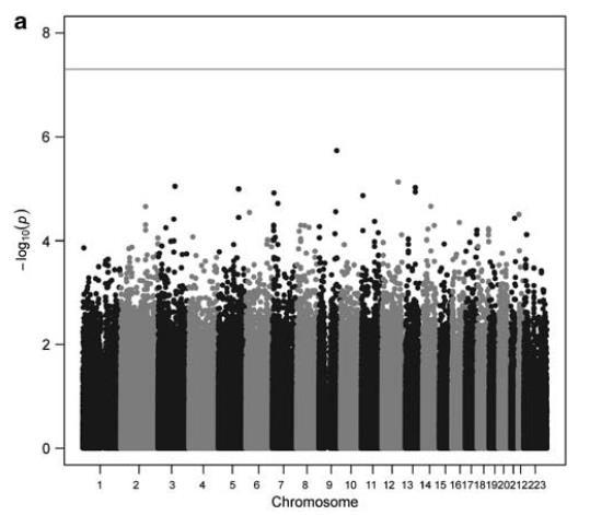 De eerste GWAS n=1285