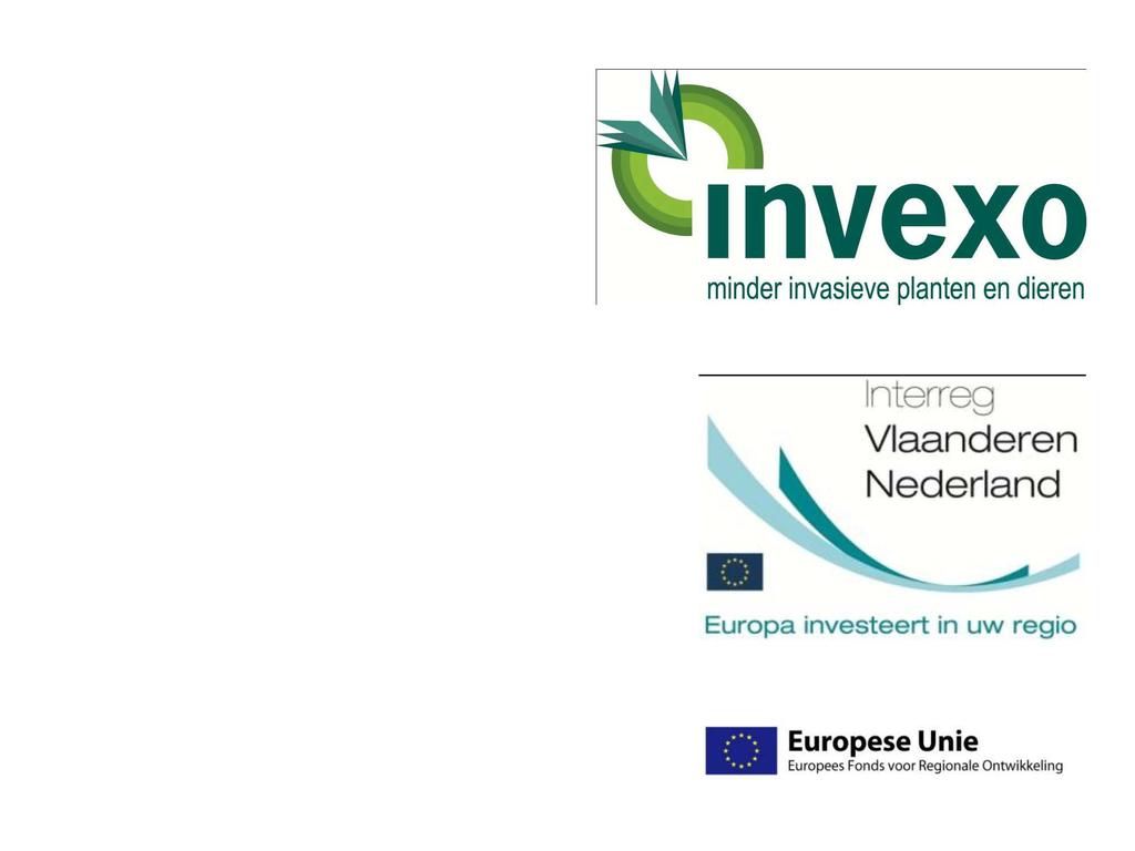 1nvexo minder invasieve planten en dieren Interreg Vlaanderen Nederland Europa