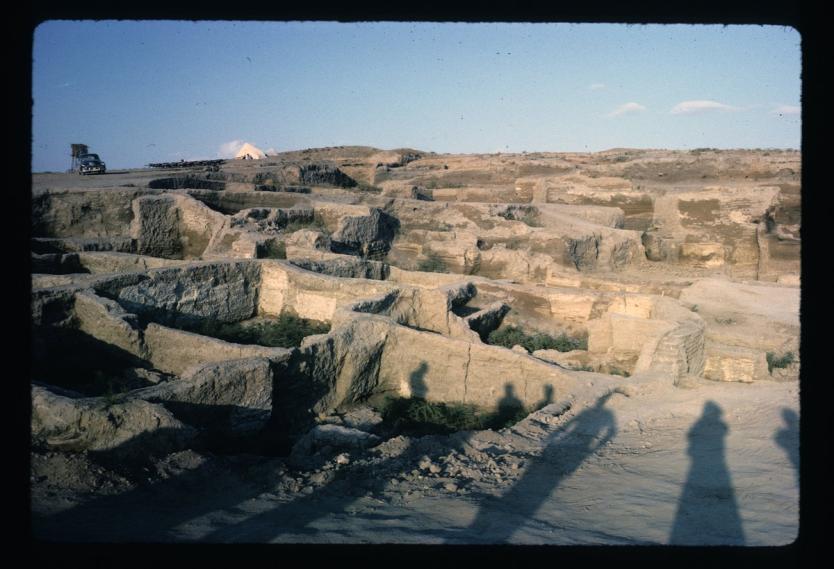 2 die geringe diepte waren de sporen van wandversiering al onmiskenbaar aanwezig.' Het duurde tot 1961 voordat Mellaart toestemming kreeg voor een volledige opgraving.