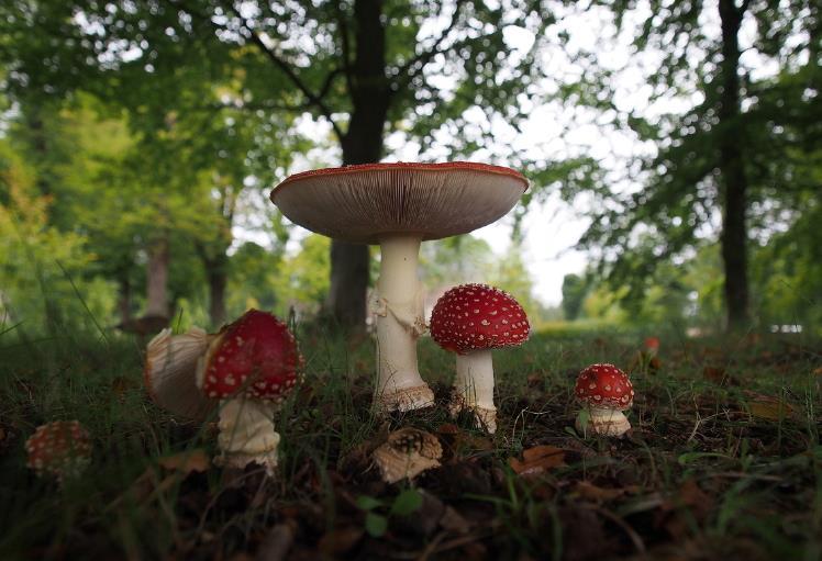 2. Vies worden Het kan in de herfst nogal vochtig en vies worden op de grond en de mooiste foto's van