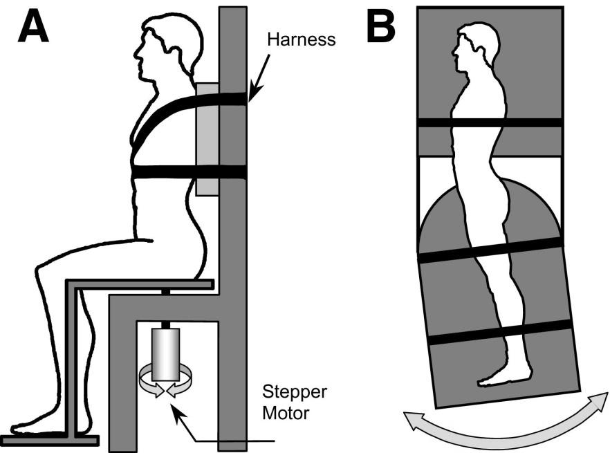 de lumbopelvic region Variabiliteit Een verende beweegbare wervelkolom