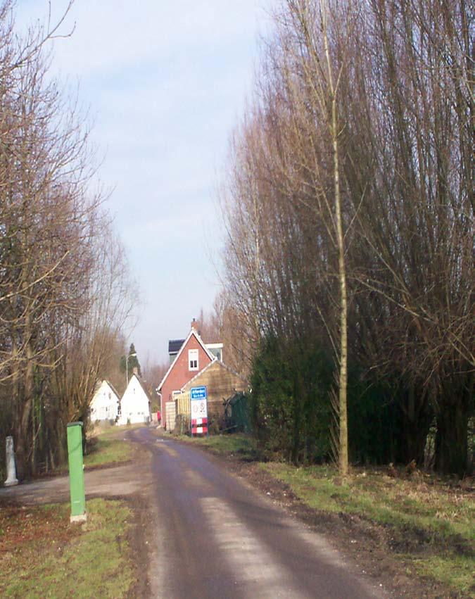 Wegen infrastructuur Doorgaande wegen.