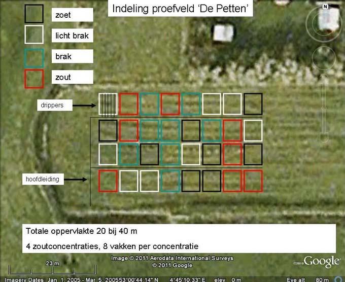 herhalingen zijn random over het veld verdeeld. Afbeelding 1 is een bewerkte luchtfoto waarop de plotjes en de bijbehorende zoutconcentraties zijn ingetekend. Afbeelding 1. Locatie zilte proeftuin bij de Petten, met 4 zoutconcentraties en 8 replica s per zoutbehandeling.