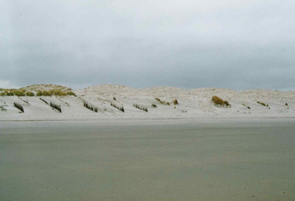 Figuur 6 Erosie van de strandsuppletie bij Ameland west.