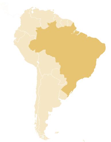 Brazilië Brazilië heeft met haar 205 miljoen inwoners de grootste zorgmarkt van heel Latijns Amerika, de 3rde grootste private zorgmarkt wereldwijd en de op 7 na grootste economie ter wereld.